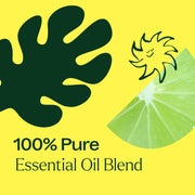 Plant Therapy Lime in the Coconut Essential Oil Blend Essential Oil Light Goldenrod 10 mL,30 mL