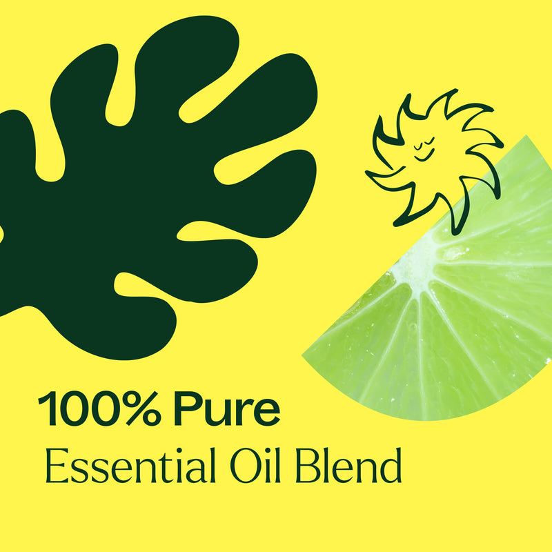 Plant Therapy Lime in the Coconut Essential Oil Blend Essential Oil Light Goldenrod 10 mL,30 mL