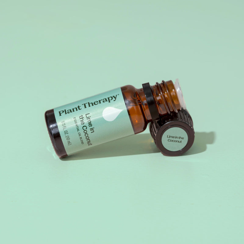 Plant Therapy Lime in the Coconut Essential Oil Blend Essential Oil Gray 10 mL,30 mL