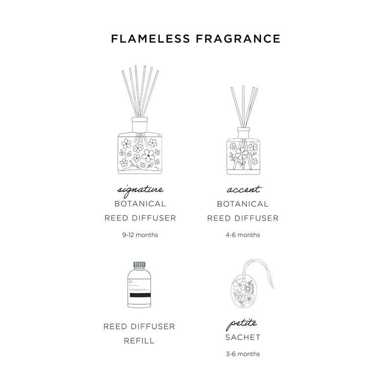 Accent Botanical Reed Diffuser - Spicy Apple