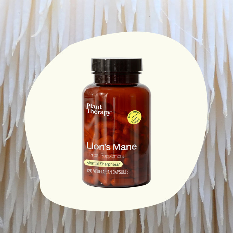 Plant Therapy Lion's Mane Herbal Supplement - 120 Capsules Supplement Seashell 120 ct
