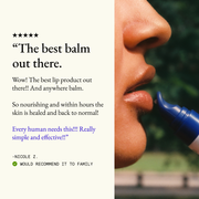 L'AMARUE The Lip Balm Skin Care Seashell
