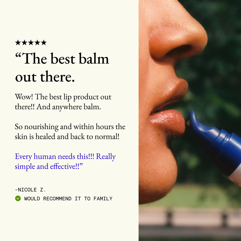 L'AMARUE The Lip Balm Skin Care Seashell
