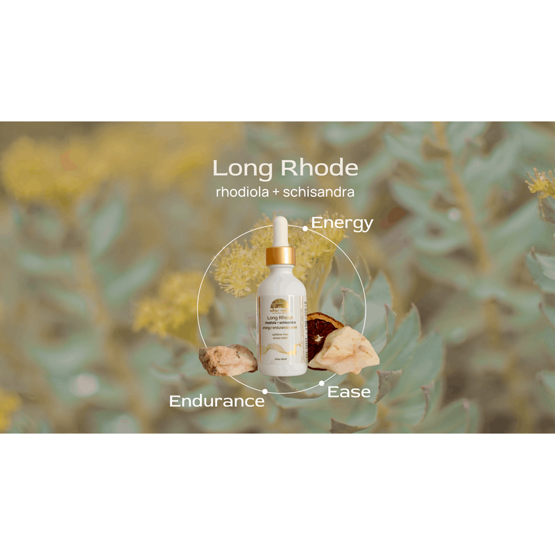 Altar Native (PRE-ORDER) Long Rhode ⟡ Rhodiola + Schisandra Adaptogen Drops Tincture Dim Gray Dropper,Pump