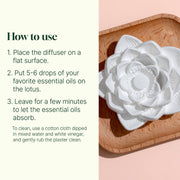 Plant Therapy Passive Lotus Diffuser Diffuser Seashell