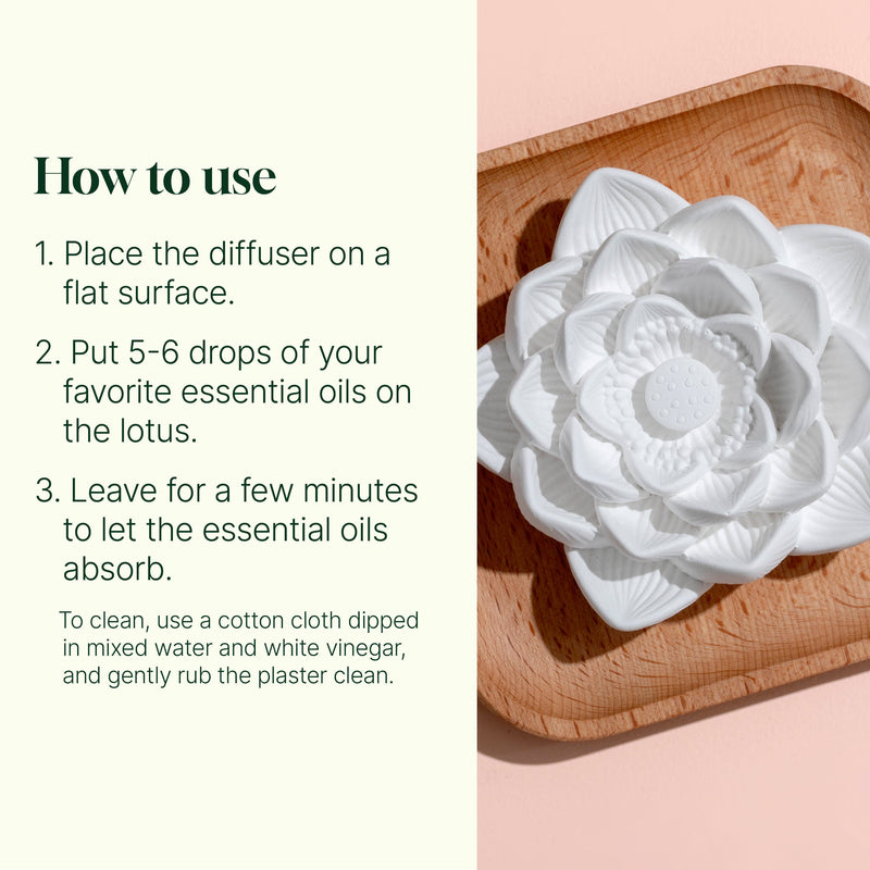 Plant Therapy Passive Lotus Diffuser Diffuser Seashell
