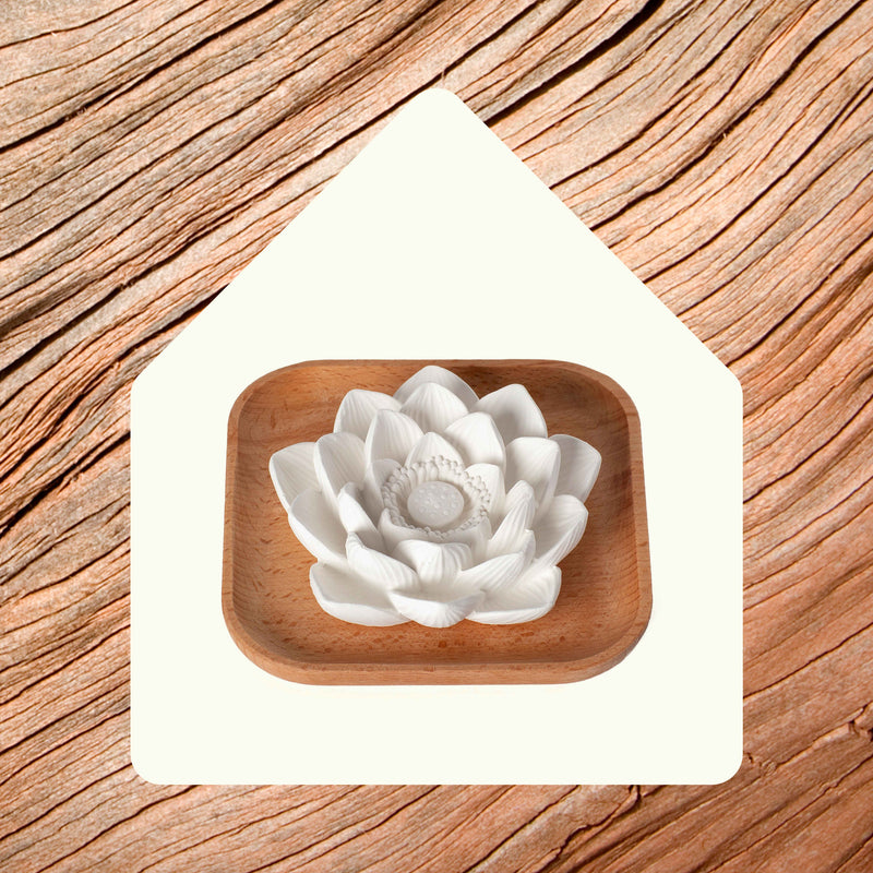Plant Therapy Passive Lotus Diffuser Diffuser Seashell