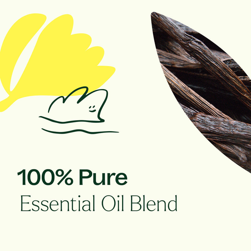 Plant Therapy Love Vanilla Essential Oil Blend Essential Oil Seashell 10 mL
