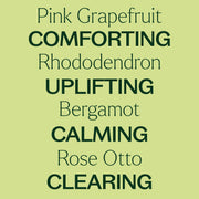 Plant Therapy Loving Compassion (Heart Chakra) Essential Oil Essential Oil Khaki 10 mL
