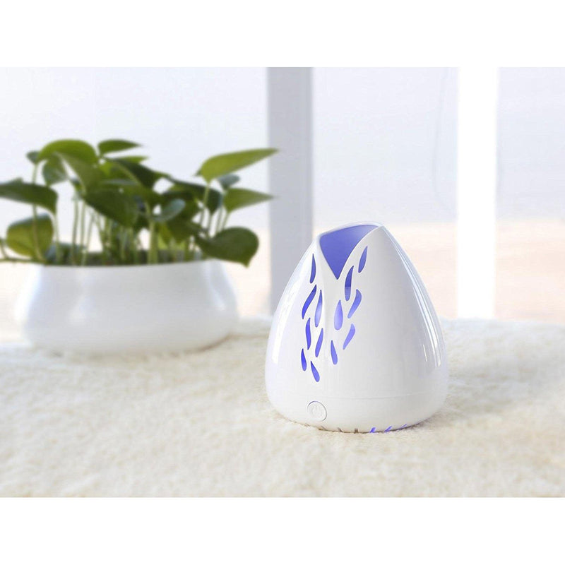 ZAQ Skin & Body Lucent Diffusers Light Gray White