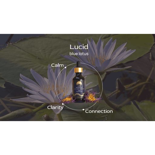 Altar Native (PRE-ORDER) Lucid ✦ Blue Lotus Drops Tincture Dark Slate Gray