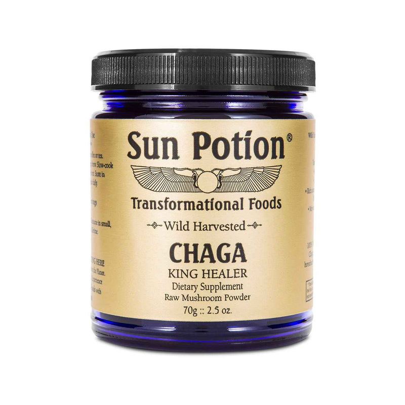 Sun Potion Chaga Mushroom Powder (Wildcrafted) Adaptogen Wheat 70g Jar