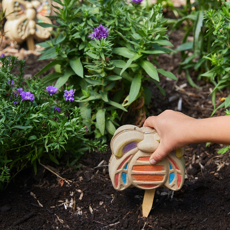 Modern Sprout Curious Critters Garden Kits Playful Planting Dark Slate Gray Butterfly 1pk,Ladybug 1pk,Bumble Bee 1pk,Mixed 3pk