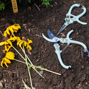 Modern Sprout Gardening Shears & Pruners Accessory Dark Slate Gray Shears 1pk - Sage,Shears 1pk - Lavender,Shears 1pk - Ocean,Shears 1pk - Chartreuse,Pruners 1pk - Sage,Pruners 1pk - Lavender,Pruners 1pk - Ocean,Pruners 1pk - Chartreuse,Shears+Pruners 2pk - Sage,Shears+Pruners 2pk - Lavender,Shears+Pruners 2pk - Ocean,Sh