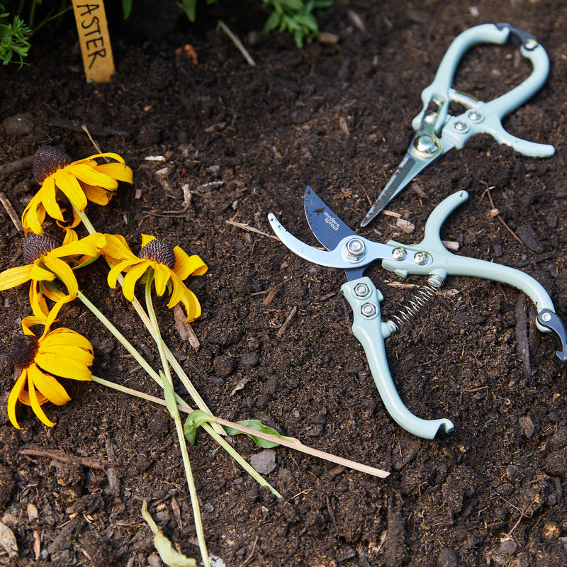 Modern Sprout Gardening Shears & Pruners Accessory Dark Slate Gray Shears 1pk - Sage,Shears 1pk - Lavender,Shears 1pk - Ocean,Shears 1pk - Chartreuse,Pruners 1pk - Sage,Pruners 1pk - Lavender,Pruners 1pk - Ocean,Pruners 1pk - Chartreuse,Shears+Pruners 2pk - Sage,Shears+Pruners 2pk - Lavender,Shears+Pruners 2pk - Ocean,Sh
