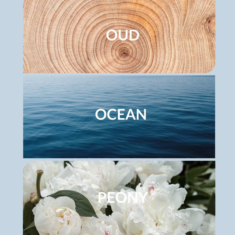Aroma360 Mother Ocean Oil Tan Pro-Pod™ / 30mL,Regular / 20mL,Regular / 30mL,Regular / 120mL,Regular / 200mL,Regular / 500mL