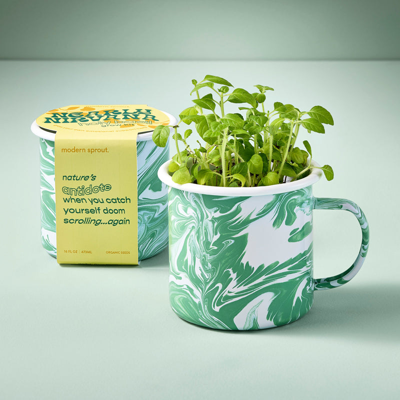 Modern Sprout Altered Herb Mug Grow Kits Indoor Garden Kit Light Gray Nearly Nirvana - Holy Basil,Sorta Soothing - Mint,Mostly Medicinal - Lemon Balm