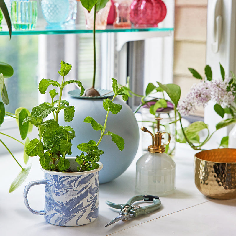 Modern Sprout Altered Herb Mug Grow Kits Indoor Garden Kit Light Gray Nearly Nirvana - Holy Basil,Sorta Soothing - Mint,Mostly Medicinal - Lemon Balm