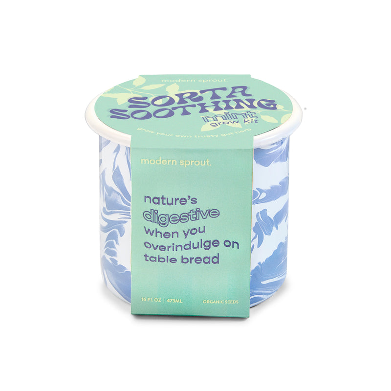Modern Sprout Altered Herb Mug Grow Kits Indoor Garden Kit Light Steel Blue Sorta Soothing - Mint