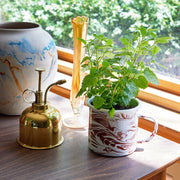 Modern Sprout Altered Herb Mug Grow Kits Indoor Garden Kit Gray Nearly Nirvana - Holy Basil,Sorta Soothing - Mint,Mostly Medicinal - Lemon Balm