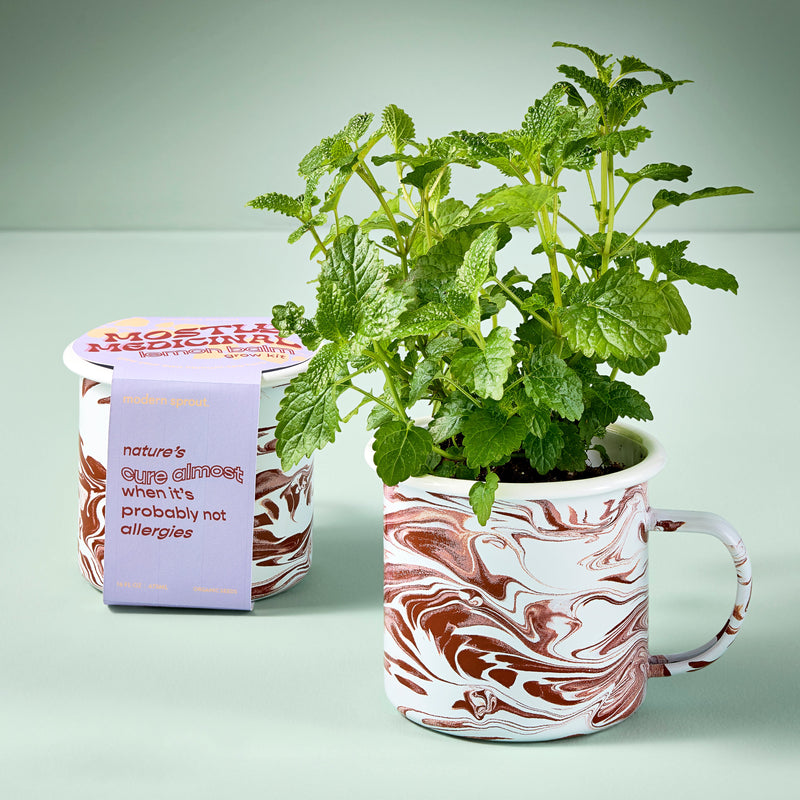Modern Sprout Altered Herb Mug Grow Kits Indoor Garden Kit Light Gray Nearly Nirvana - Holy Basil,Sorta Soothing - Mint,Mostly Medicinal - Lemon Balm