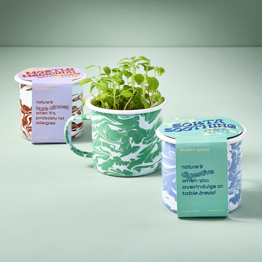 Modern Sprout Altered Herb Mug Grow Kits Indoor Garden Kit Light Gray Nearly Nirvana - Holy Basil,Sorta Soothing - Mint,Mostly Medicinal - Lemon Balm