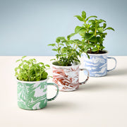 Modern Sprout Altered Herb Mug Grow Kits Indoor Garden Kit Light Gray Nearly Nirvana - Holy Basil,Sorta Soothing - Mint,Mostly Medicinal - Lemon Balm