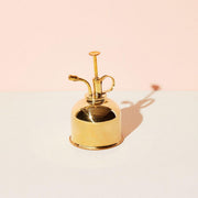 Modern Sprout Misters Accessory Antique White brass