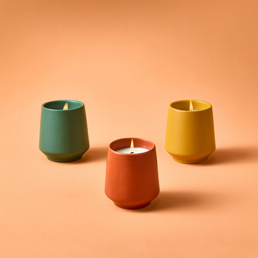 Modern Sprout Rooted Candles Candle Light Salmon Rosemary & Cucumber 1pk,Thyme & Tonka Bean 1pk,Lavender & Cedarwood 1pk,Mixed 3pk