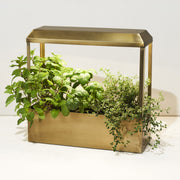 Modern Sprout Smart Growhouse Grow Light Antique White Brass