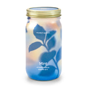 Modern Sprout Garden Jars - Organic Herbs Indoor Garden Kit Light Gray Mint 1pk