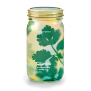 Modern Sprout Garden Jars - Organic Herbs Indoor Garden Kit Tan Cilantro 1pk