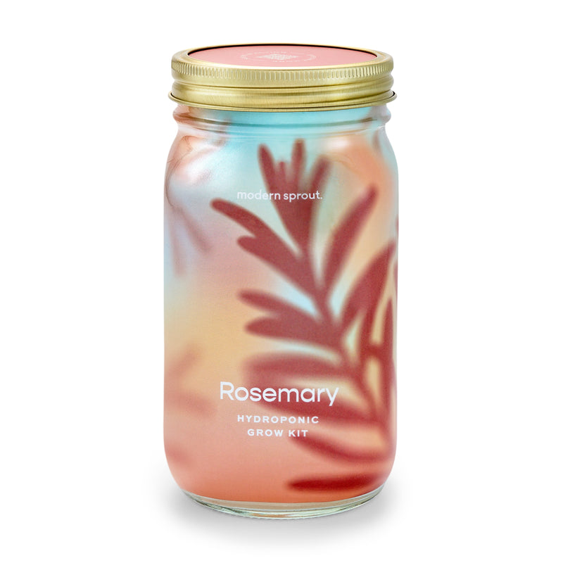 Modern Sprout Garden Jars - Organic Herbs Indoor Garden Kit Tan Rosemary 1pk