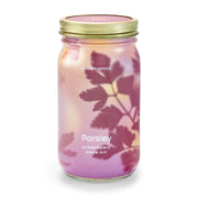Modern Sprout Garden Jars - Organic Herbs Indoor Garden Kit Gray Parsley 1pk