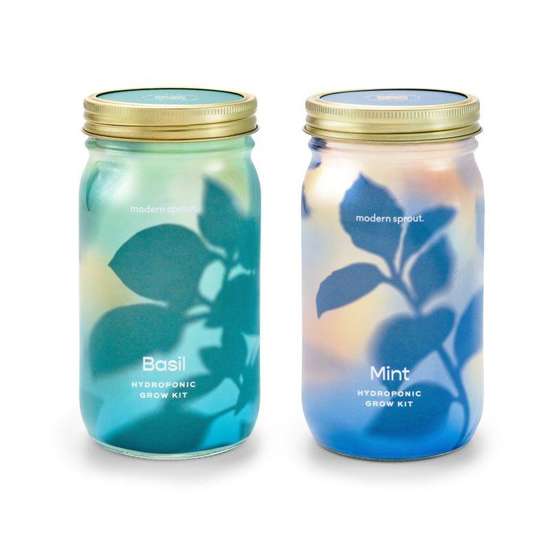 Modern Sprout Garden Jars - Organic Herbs Indoor Garden Kit White Smoke Basil+Mint 2pk