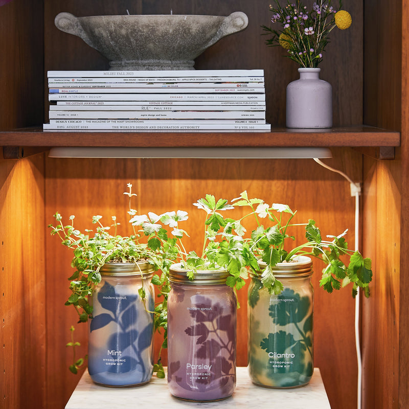 Modern Sprout Smart Growbar Grow Light Dark Slate Gray