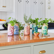 Modern Sprout Garden Jars - Organic Herbs Indoor Garden Kit Gray Lavender 1pk,Basil 1pk,Parsley 1pk,Mint 1pk,Rosemary 1pk,Cilantro 1pk,Basil+Parsley+Mint+Rosemary+Cilantro+Lavender 6pk,Basil+Parsley+Mint+Rosemary+Lavender 5pk,Basil+Mint 2pk,Basil+Parsley 2pk,Basil+Rosemary 2pk,Basil+Cilantro 2pk,Lavender+Rosemary 2pk,B
