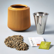 Modern Sprout Flower Grow Kits Indoor Garden Kit Light Gray Zinnia Dahlia / Goldenrod Planter,Daisy Daydream / Forest Planter,Morning Glory / Forest Planter,Morning Glory / Blush Planter