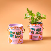 Modern Sprout Complimentary Colors Grow Kits Indoor Garden Kit Light Salmon Stay Zen Friend 1pk,One in a Melon 1pk,You are My Jam 1pk,Awesome Sauce 1pk,Bada Bloom 1pk,Stuck on You 1pk,Mixed 4pk,Mixed 6pk,Rockin' Around 1pk,Let It Grow 1pk,Spirits Bright 1pk,Seasonal Mixed 3pk