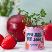 Modern Sprout Complimentary Colors Grow Kits Indoor Garden Kit Gray Stay Zen Friend 1pk,One in a Melon 1pk,You are My Jam 1pk,Awesome Sauce 1pk,Bada Bloom 1pk,Stuck on You 1pk,Mixed 4pk,Mixed 6pk,Rockin' Around 1pk,Let It Grow 1pk,Spirits Bright 1pk,Seasonal Mixed 3pk