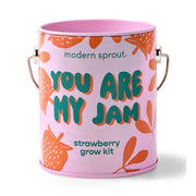 Modern Sprout Complimentary Colors Grow Kits Indoor Garden Kit Thistle You are My Jam 1pk
