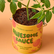 Modern Sprout Complimentary Colors Grow Kits Indoor Garden Kit Light Salmon Stay Zen Friend 1pk,One in a Melon 1pk,You are My Jam 1pk,Awesome Sauce 1pk,Bada Bloom 1pk,Stuck on You 1pk,Mixed 4pk,Mixed 6pk,Rockin' Around 1pk,Let It Grow 1pk,Spirits Bright 1pk,Seasonal Mixed 3pk