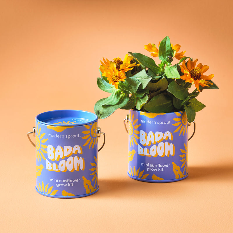Modern Sprout Complimentary Colors Grow Kits Indoor Garden Kit Light Salmon Stay Zen Friend 1pk,One in a Melon 1pk,You are My Jam 1pk,Awesome Sauce 1pk,Bada Bloom 1pk,Stuck on You 1pk,Mixed 4pk,Mixed 6pk,Rockin' Around 1pk,Let It Grow 1pk,Spirits Bright 1pk,Seasonal Mixed 3pk