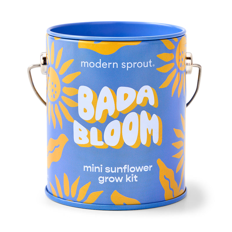 Modern Sprout Complimentary Colors Grow Kits Indoor Garden Kit Cornflower Blue Bada Bloom 1pk