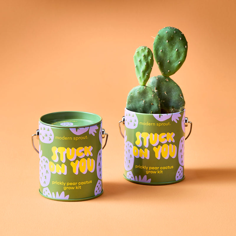 Modern Sprout Complimentary Colors Grow Kits Indoor Garden Kit Light Salmon Stay Zen Friend 1pk,One in a Melon 1pk,You are My Jam 1pk,Awesome Sauce 1pk,Bada Bloom 1pk,Stuck on You 1pk,Mixed 4pk,Mixed 6pk,Rockin' Around 1pk,Let It Grow 1pk,Spirits Bright 1pk,Seasonal Mixed 3pk