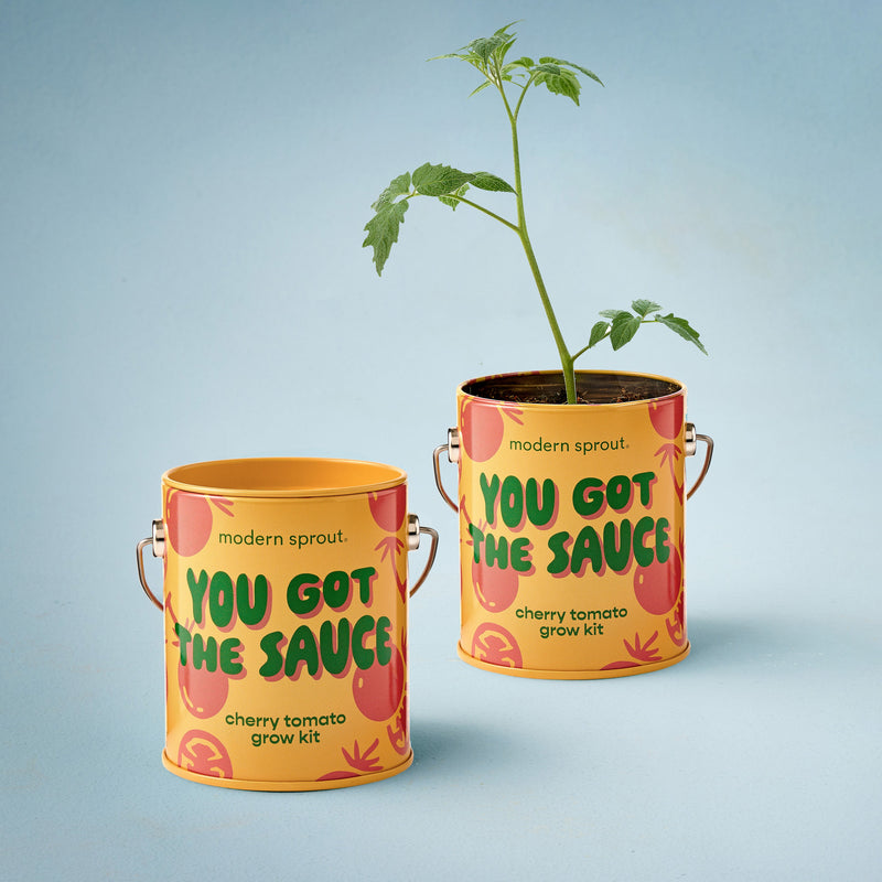 Modern Sprout Complimentary Colors Grow Kits Indoor Garden Kit Light Gray Stay Zen Friend 1pk,One in a Melon 1pk,You are My Jam 1pk,Awesome Sauce 1pk,Bada Bloom 1pk,Stuck on You 1pk,Mixed 4pk,Mixed 6pk,Rockin' Around 1pk,Let It Grow 1pk,Spirits Bright 1pk,Seasonal Mixed 3pk