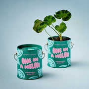 Modern Sprout Complimentary Colors Grow Kits Indoor Garden Kit Light Steel Blue Stay Zen Friend 1pk,One in a Melon 1pk,You are My Jam 1pk,Awesome Sauce 1pk,Bada Bloom 1pk,Stuck on You 1pk,Mixed 4pk,Mixed 6pk,Rockin' Around 1pk,Let It Grow 1pk,Spirits Bright 1pk,Seasonal Mixed 3pk