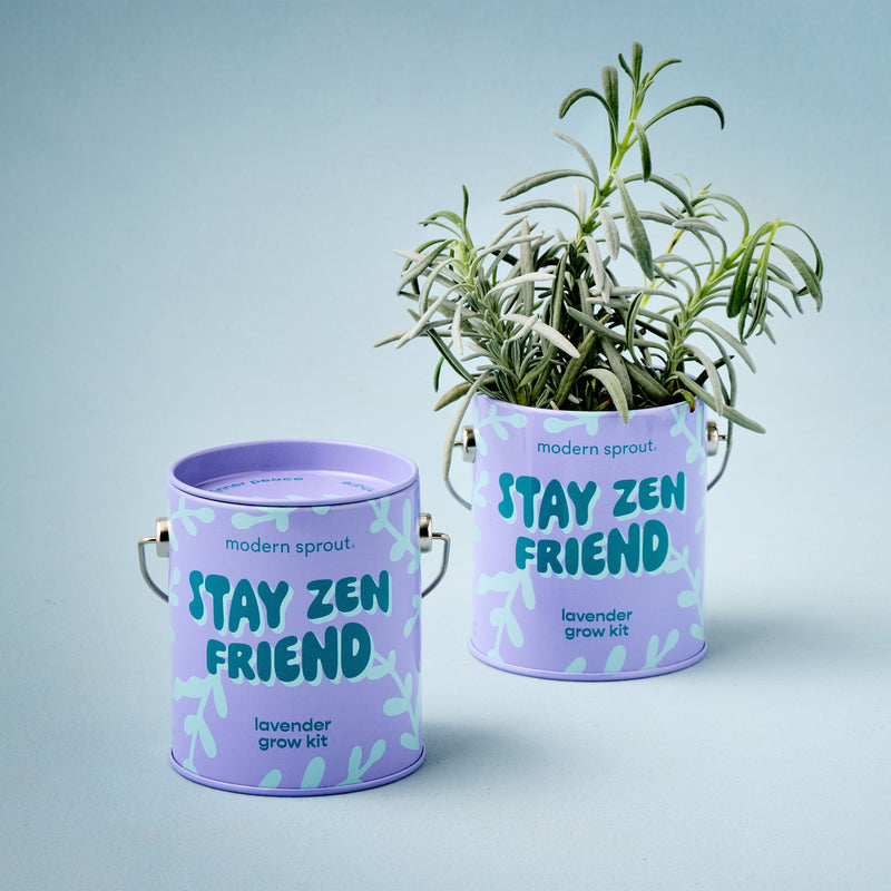 Modern Sprout Complimentary Colors Grow Kits Indoor Garden Kit Light Gray Stay Zen Friend 1pk,One in a Melon 1pk,You are My Jam 1pk,Awesome Sauce 1pk,Bada Bloom 1pk,Stuck on You 1pk,Mixed 4pk,Mixed 6pk,Rockin' Around 1pk,Let It Grow 1pk,Spirits Bright 1pk,Seasonal Mixed 3pk