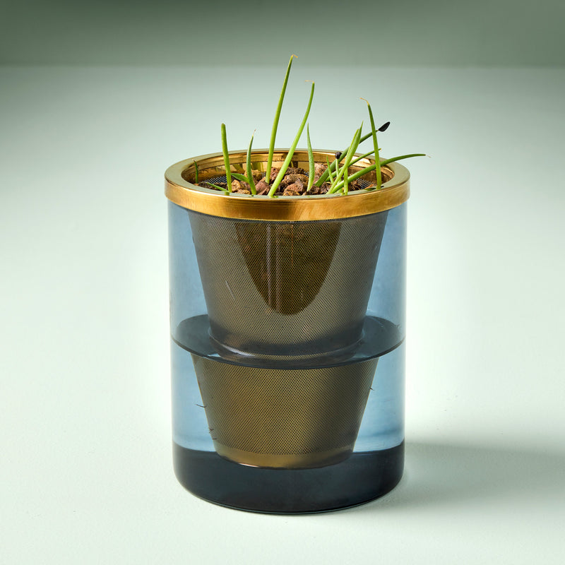 Modern Sprout Agave Grow Kit Indoor Garden Kit Light Gray