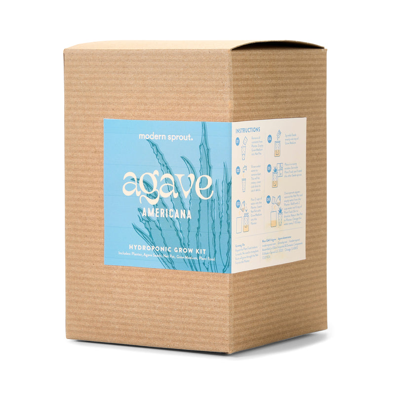 Modern Sprout Agave Grow Kit Indoor Garden Kit Tan